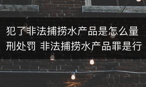 犯了非法捕捞水产品是怎么量刑处罚 非法捕捞水产品罪是行为犯吗