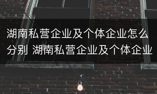 湖南私营企业及个体企业怎么分别 湖南私营企业及个体企业怎么分别认证
