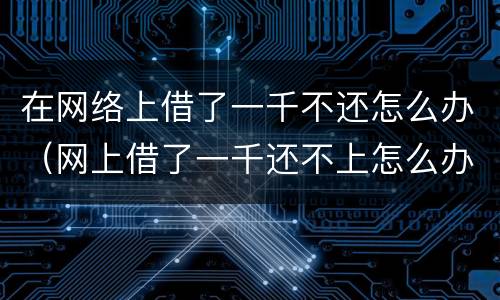 在网络上借了一千不还怎么办（网上借了一千还不上怎么办）