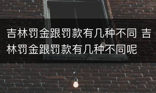 吉林罚金跟罚款有几种不同 吉林罚金跟罚款有几种不同呢
