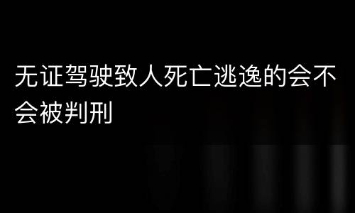 无证驾驶致人死亡逃逸的会不会被判刑