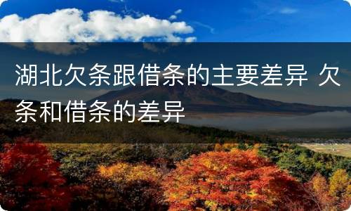 湖北欠条跟借条的主要差异 欠条和借条的差异