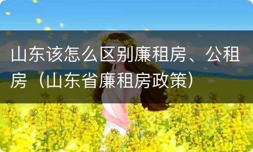 山东该怎么区别廉租房、公租房（山东省廉租房政策）