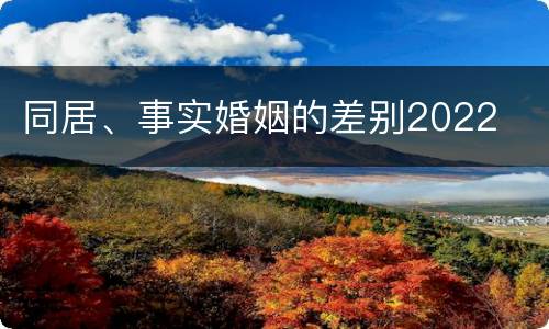 同居、事实婚姻的差别2022