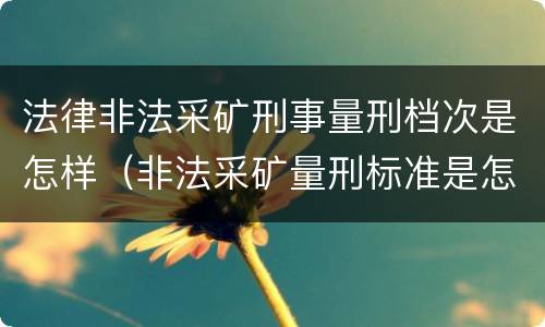法律非法采矿刑事量刑档次是怎样（非法采矿量刑标准是怎样）