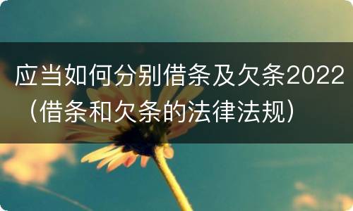 应当如何分别借条及欠条2022（借条和欠条的法律法规）