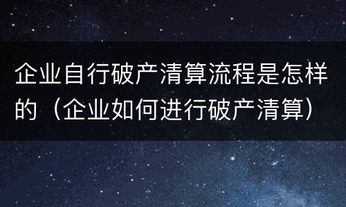企业自行破产清算流程是怎样的（企业如何进行破产清算）