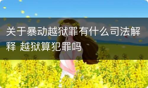 关于暴动越狱罪有什么司法解释 越狱算犯罪吗