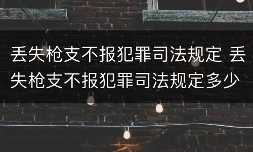 丢失枪支不报犯罪司法规定 丢失枪支不报犯罪司法规定多少条