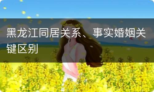 黑龙江同居关系、事实婚姻关键区别