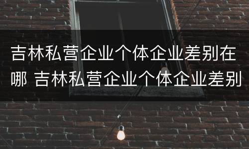 吉林私营企业个体企业差别在哪 吉林私营企业个体企业差别在哪查