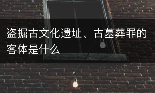 盗掘古文化遗址、古墓葬罪的客体是什么