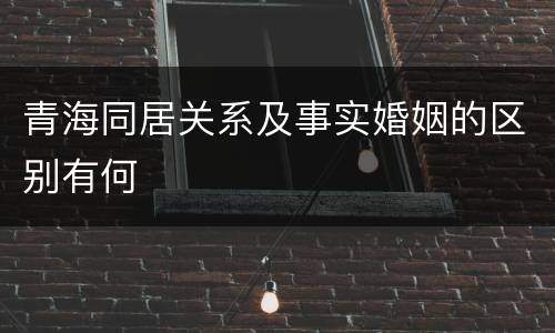 青海同居关系及事实婚姻的区别有何
