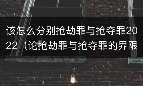 该怎么分别抢劫罪与抢夺罪2022（论抢劫罪与抢夺罪的界限）