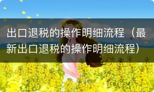 出口退税的操作明细流程（最新出口退税的操作明细流程）