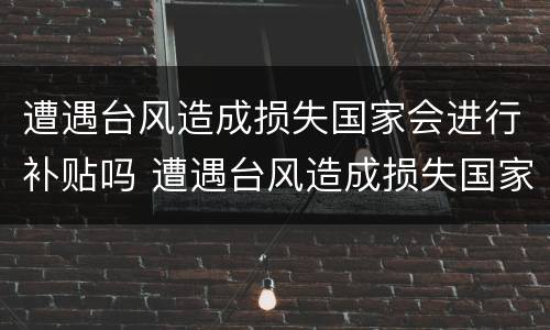 遭遇台风造成损失国家会进行补贴吗 遭遇台风造成损失国家会进行补贴吗