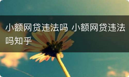 小额网贷违法吗 小额网贷违法吗知乎