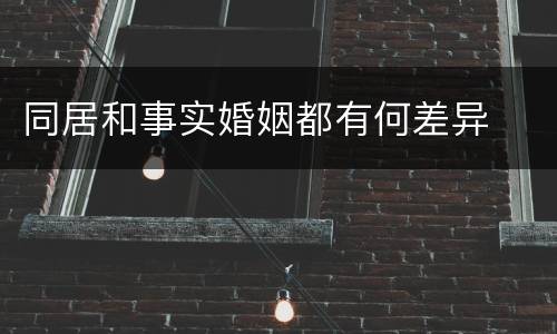 同居和事实婚姻都有何差异