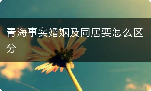 青海事实婚姻及同居要怎么区分