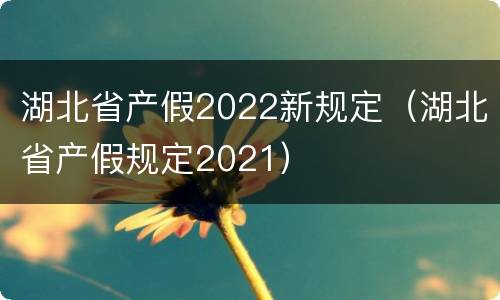 湖北省产假2022新规定（湖北省产假规定2021）