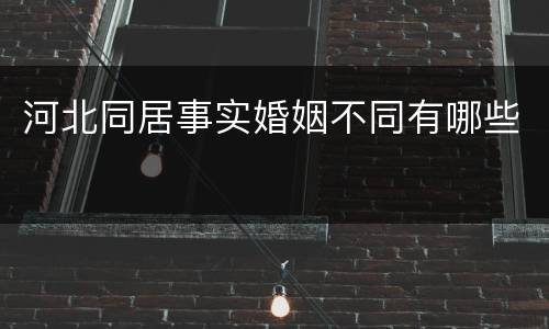 河北同居事实婚姻不同有哪些