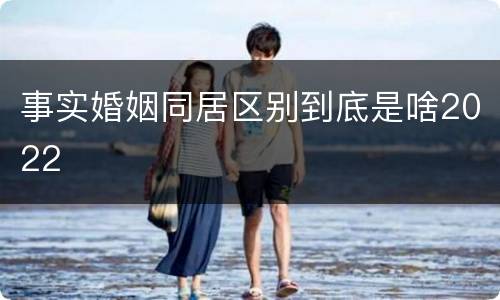 事实婚姻同居区别到底是啥2022