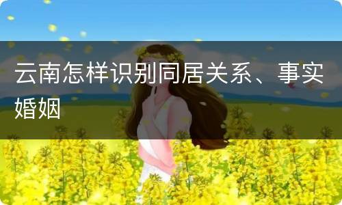 云南怎样识别同居关系、事实婚姻