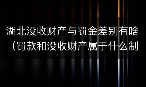 湖北没收财产与罚金差别有啥（罚款和没收财产属于什么制裁）