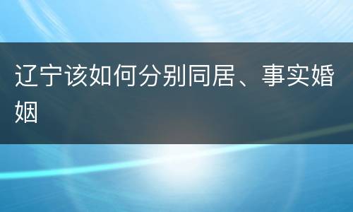 辽宁该如何分别同居、事实婚姻