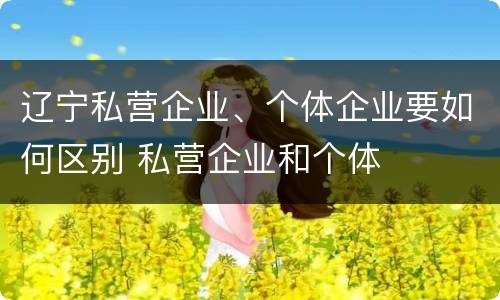 辽宁私营企业、个体企业要如何区别 私营企业和个体