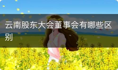 云南股东大会董事会有哪些区别