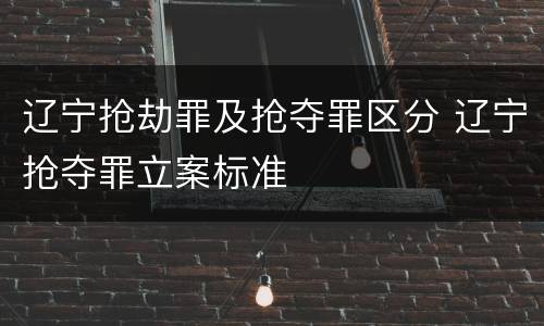 辽宁抢劫罪及抢夺罪区分 辽宁抢夺罪立案标准