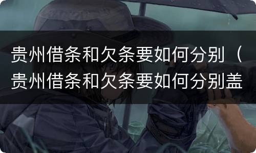 贵州借条和欠条要如何分别（贵州借条和欠条要如何分别盖章）