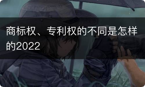 商标权、专利权的不同是怎样的2022