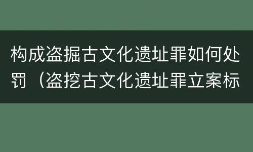 构成盗掘古文化遗址罪如何处罚（盗挖古文化遗址罪立案标准）