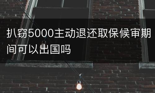 扒窃5000主动退还取保候审期间可以出国吗
