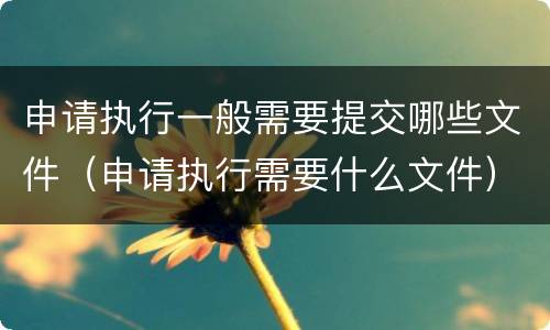 申请执行一般需要提交哪些文件（申请执行需要什么文件）