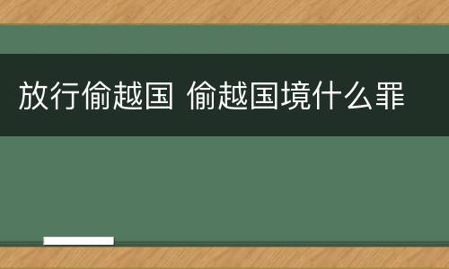 放行偷越国 偷越国境什么罪