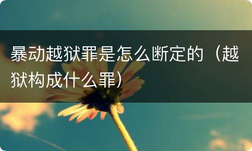 暴动越狱罪是怎么断定的（越狱构成什么罪）