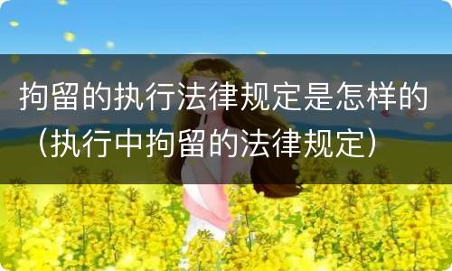 拘留的执行法律规定是怎样的（执行中拘留的法律规定）
