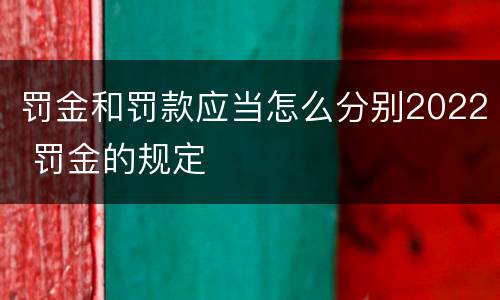 罚金和罚款应当怎么分别2022 罚金的规定