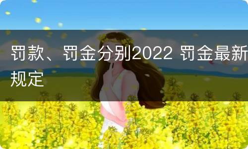 罚款、罚金分别2022 罚金最新规定