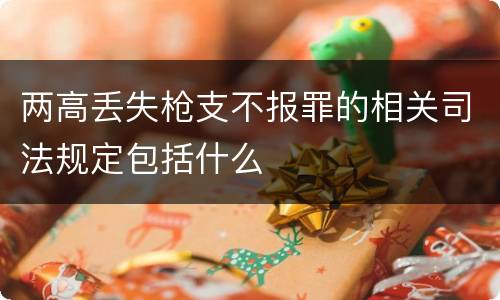 两高丢失枪支不报罪的相关司法规定包括什么