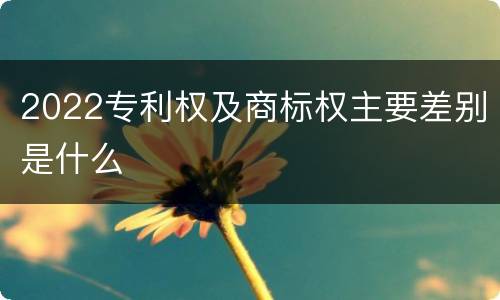 2022专利权及商标权主要差别是什么