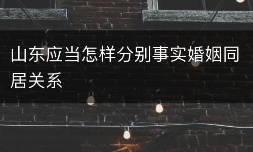 山东应当怎样分别事实婚姻同居关系