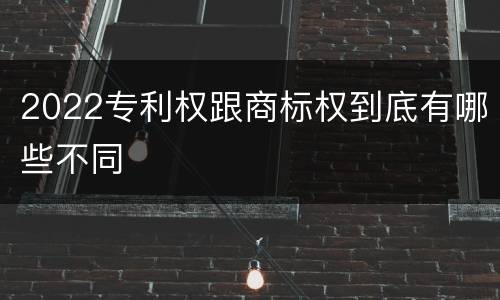 2022专利权跟商标权到底有哪些不同