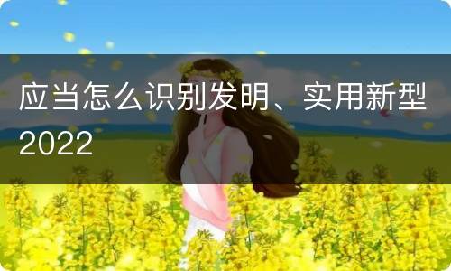 应当怎么识别发明、实用新型2022