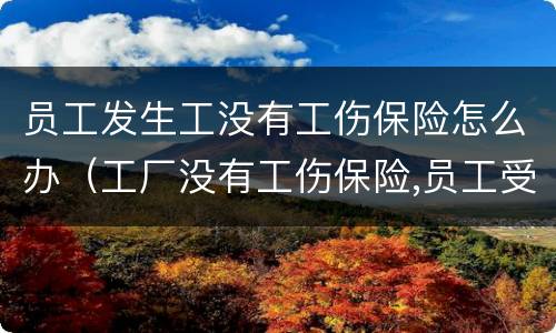 员工发生工没有工伤保险怎么办（工厂没有工伤保险,员工受伤怎么办）