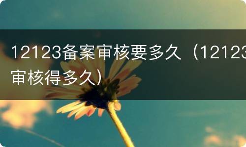 12123备案审核要多久（12123审核得多久）