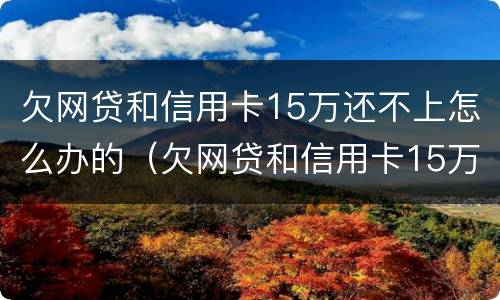 欠网贷和信用卡15万还不上怎么办的（欠网贷和信用卡15万还不上怎么办的呢）